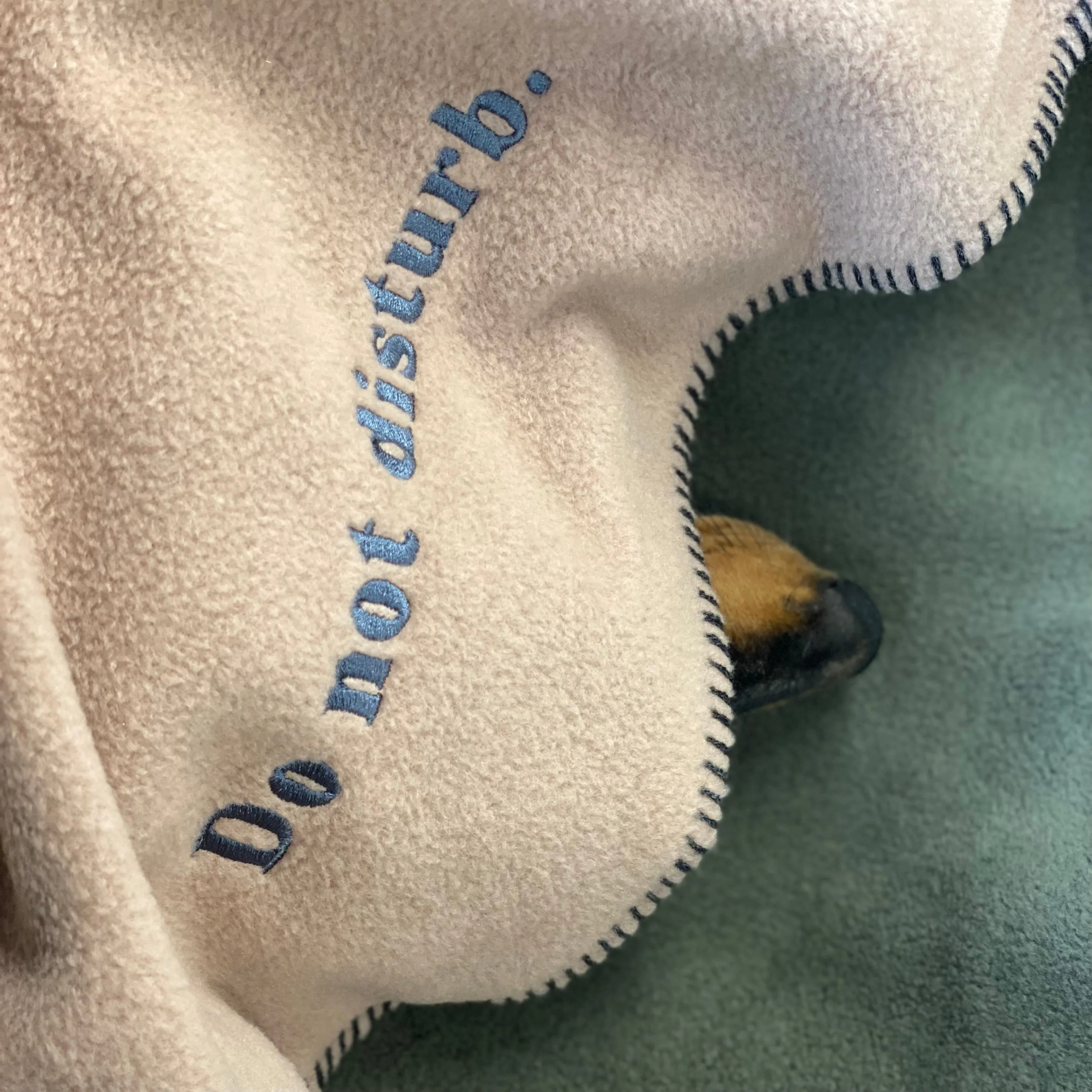 Doghouse Fleece Dog Blanket Statements