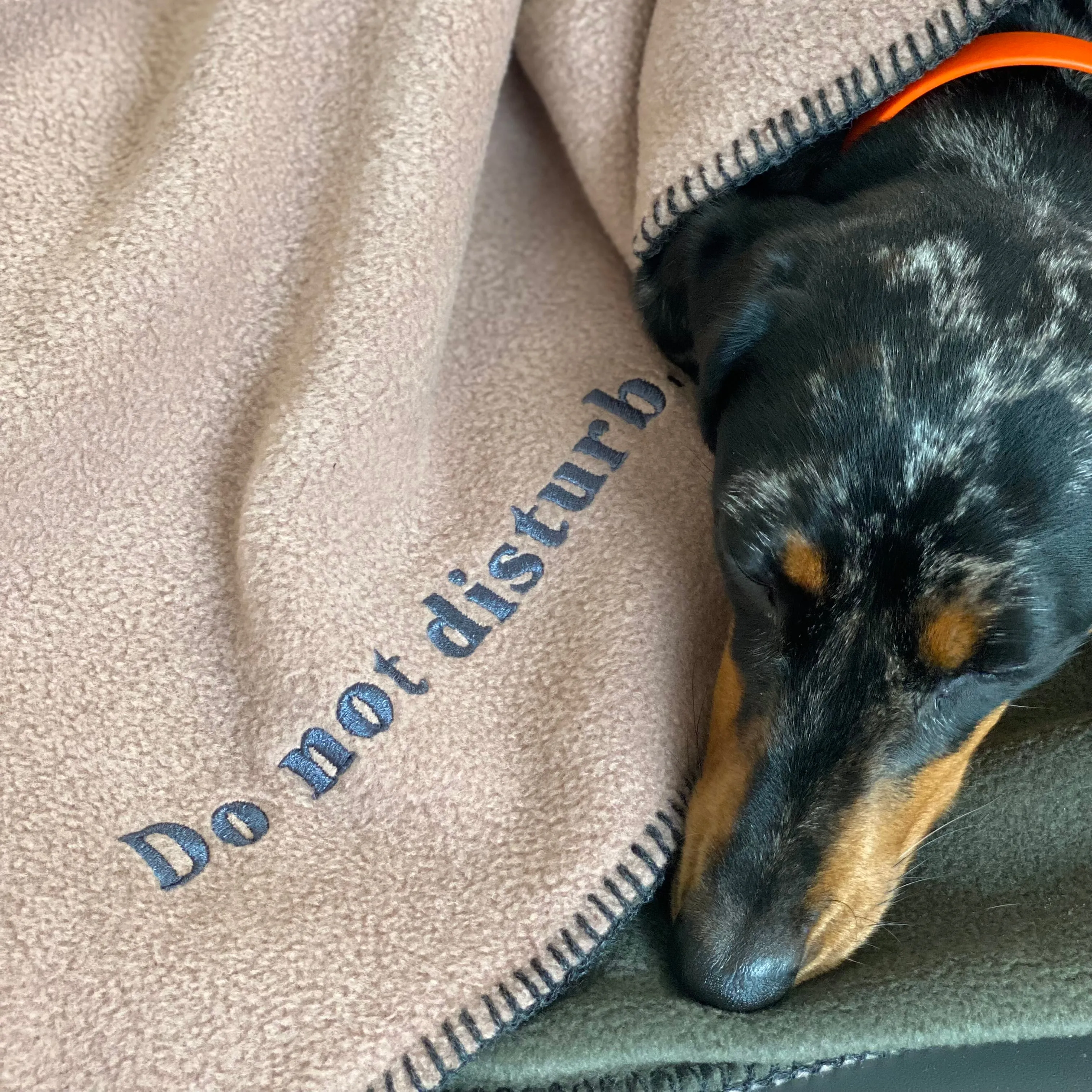 Doghouse Fleece Dog Blanket Statements