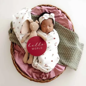 Ladybug Jersey Wrap Birth Announcement Set